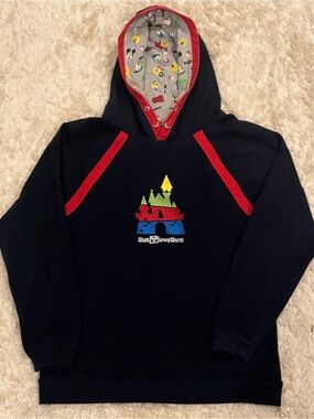 Walt Disney World Youth Hooded Raglan Pullover Sweatshirt